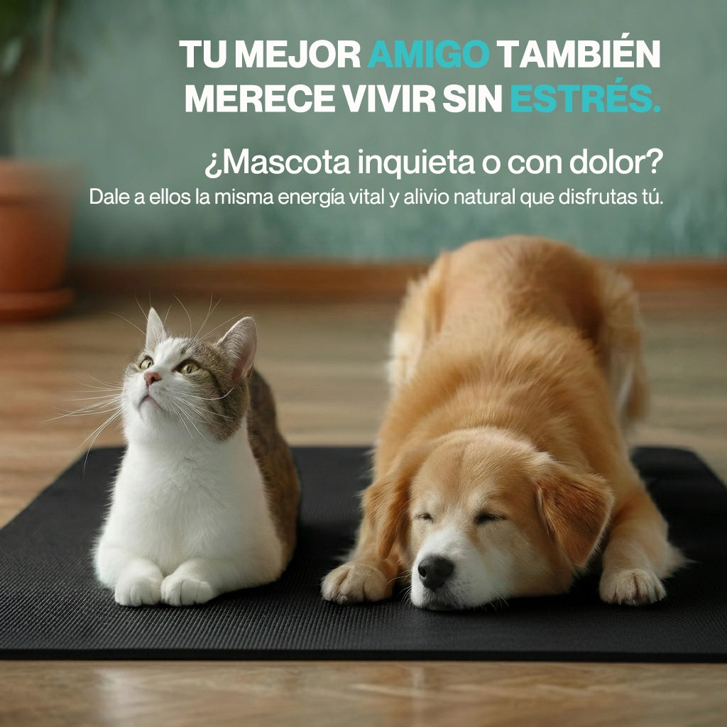 FootRelief™ Plataforma Terapéutica [Estimula la Circulación y Alivio Inmediato]